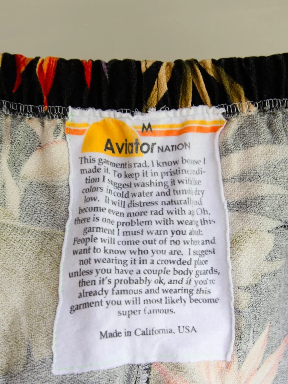 Aviator Nation Bird of Paradise Stripe Track Shorts Handmade in California EUC - Picture 5 of 5